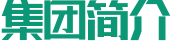 集团简介